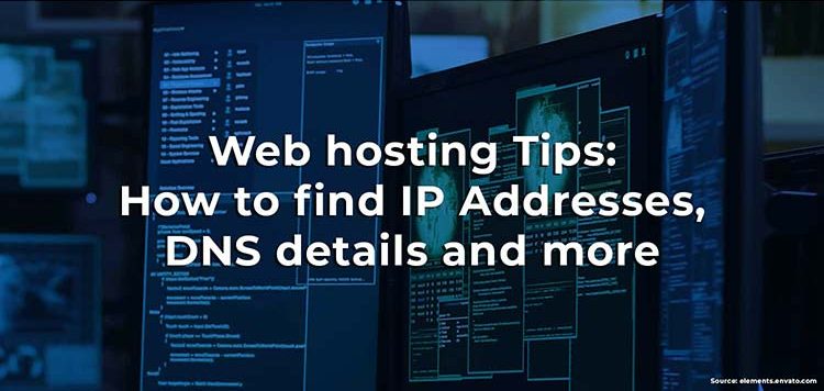 Find the IP Address of my Website, Server and Domain