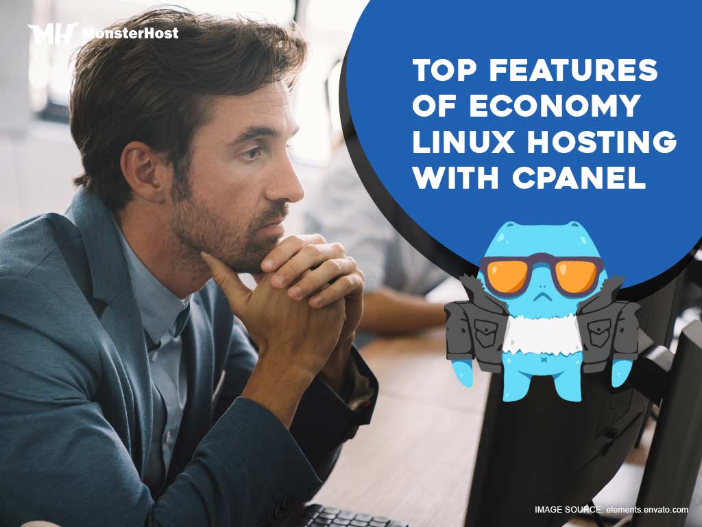 economy Linux hosting with cPanel
