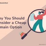 Why You Should Consider a Cheap Domain Option - Image #1